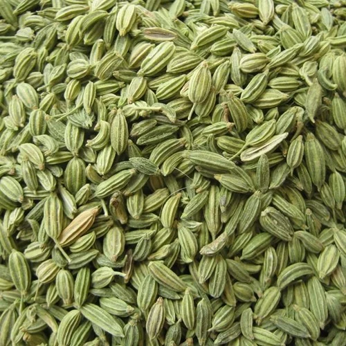 Fennel Seeds — product photo 1 of 3
